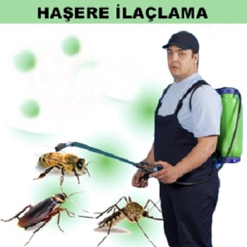 Kızıltepe Böcek İlaçlama